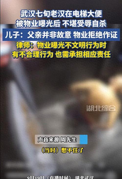 物业爆料大全视频